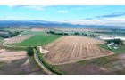 SE Corner View - LAND & WATER RIGHTS AUCTION - 33+/- ACRES & 67 WATER UNITS/SHARES IN 26 TRACTS IN BOULDER COUNTY, CO